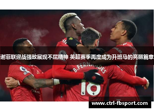 谢菲联迎战强敌展现不屈精神 英超赛季再度成为升班马的亮丽篇章